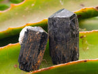 Natural Schorl Black Tourmaline with Associated Minerals x 25 From Erongo, Namibia
