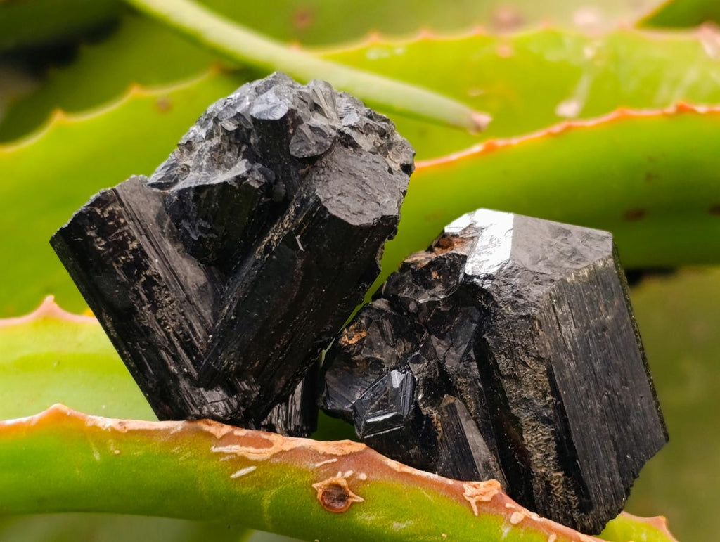 Natural Schorl Black Tourmaline with Associated Minerals x 25 From Erongo, Namibia