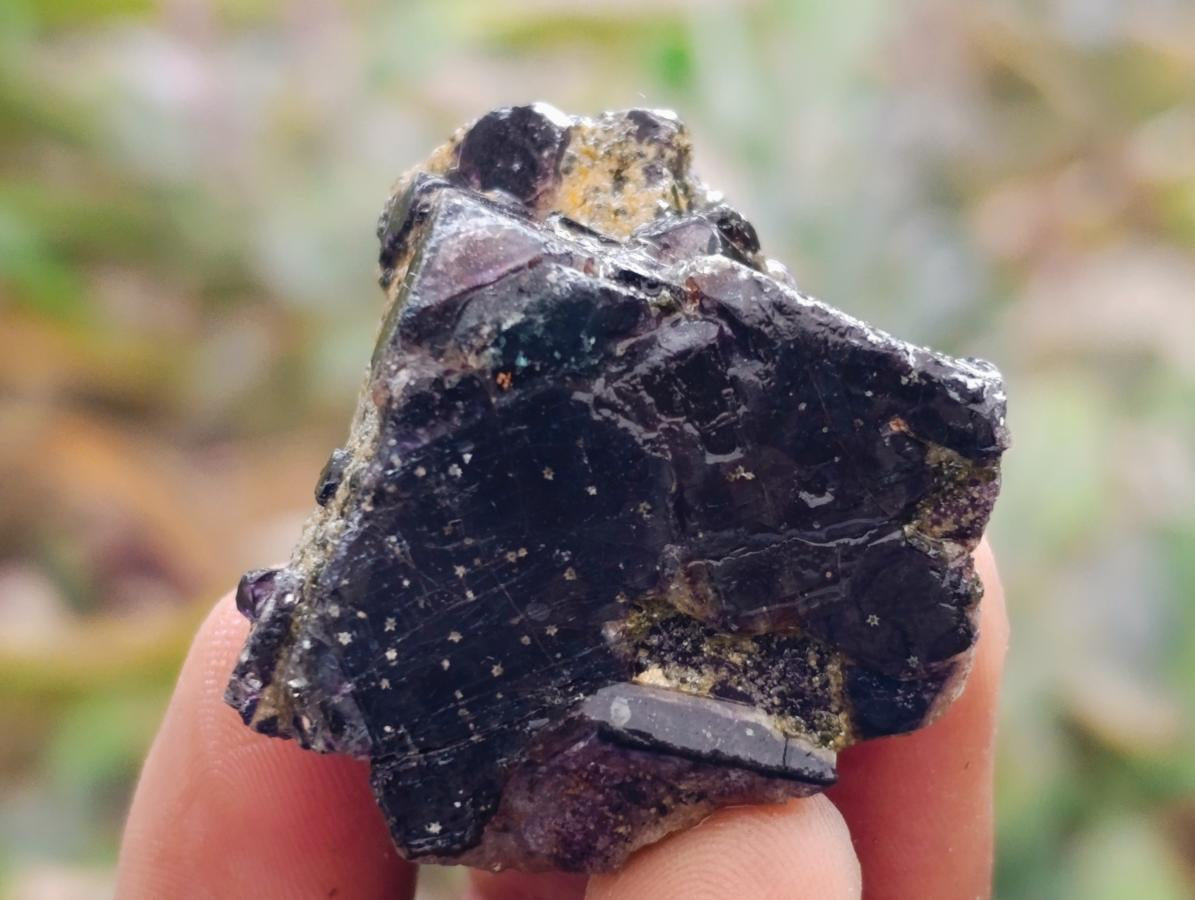 Natural Schorl Black Tourmaline with Associated Minerals x 25 From Erongo, Namibia
