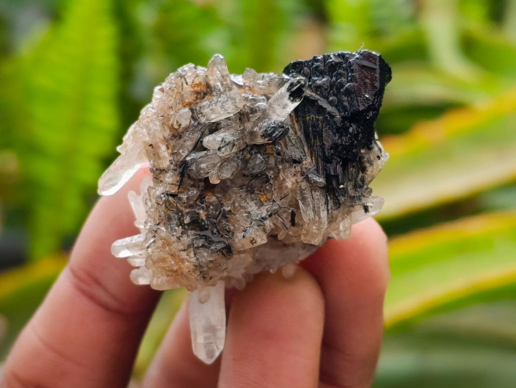 Natural Schorl Black Tourmaline with Associated Minerals x 25 From Erongo, Namibia