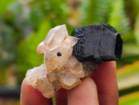 Natural Schorl Black Tourmaline with Associated Minerals x 25 From Erongo, Namibia