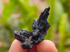 Natural Schorl Black Tourmaline with Associated Minerals x 25 From Erongo, Namibia