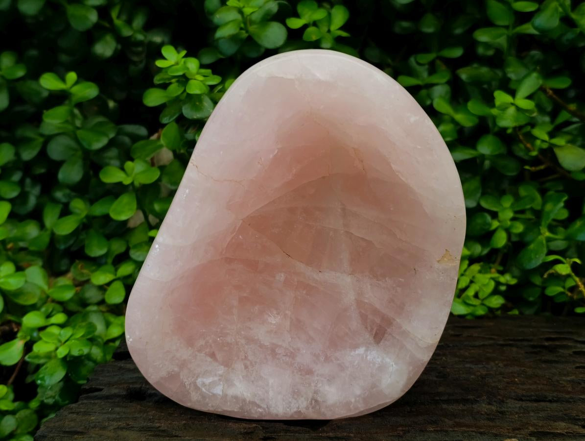 Polished Large Rose Quartz Bowl x 1 From Madagascar