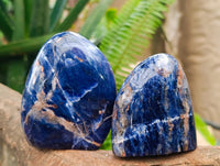 Polished Sodalite Standing Free Forms x 4 From Kunene River, Namibia