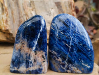 Polished Sodalite Standing Free Forms x 4 From Kunene River, Namibia