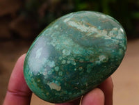 Polished Verdite Free Forms x 12 From Zimbabwe