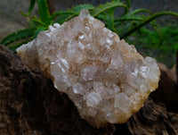Natural Clear Limonite Quartz Clusters x 3 From Solwezi, Zambia