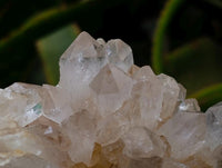 Natural Clear Limonite Quartz Clusters x 3 From Solwezi, Zambia