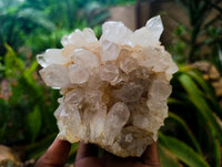 Natural Clear Limonite Quartz Clusters x 3 From Solwezi, Zambia