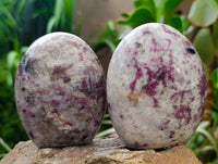Polished Rubellite Pink Tourmaline Standing Free Forms x 6 From Ambatondrazaka, Madagascar