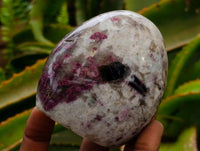 Polished Rubellite Pink Tourmaline Standing Free Forms x 6 From Ambatondrazaka, Madagascar
