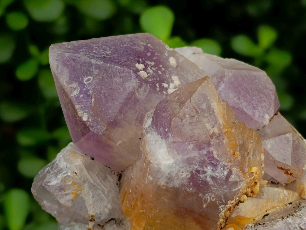 Natural Jacaranda Amethyst Crystal Clusters x 6 From Mumbwa, Zambia