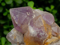 Natural Jacaranda Amethyst Crystal Clusters x 6 From Mumbwa, Zambia