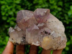 Natural Jacaranda Amethyst Crystal Clusters x 6 From Mumbwa, Zambia
