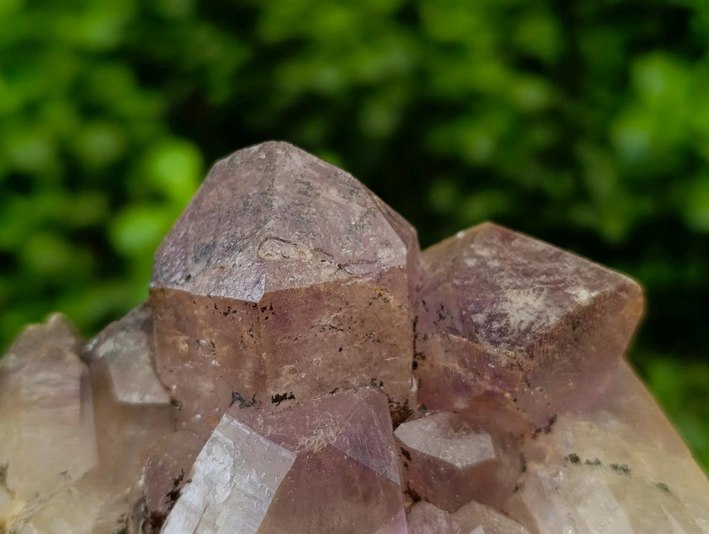 Natural Jacaranda Amethyst Crystal Clusters x 6 From Mumbwa, Zambia