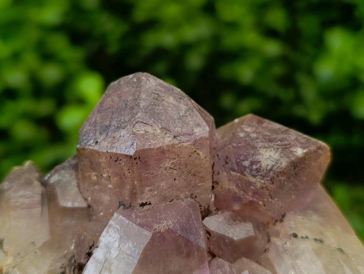 Natural Jacaranda Amethyst Crystal Clusters x 6 From Mumbwa, Zambia