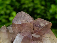 Natural Jacaranda Amethyst Crystal Clusters x 6 From Mumbwa, Zambia