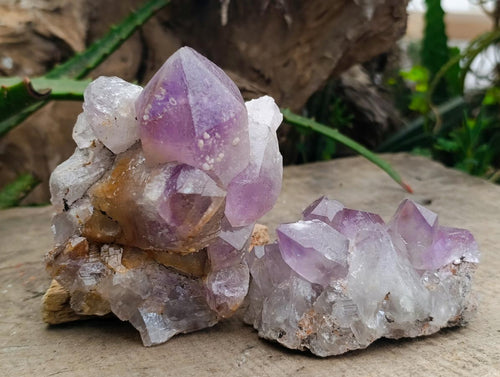 Natural Jacaranda Amethyst Crystal Clusters x 6 From Mumbwa, Zambia - Toprock Gemstones and Minerals 