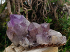 Natural Jacaranda Amethyst Crystal Clusters x 6 From Mumbwa, Zambia
