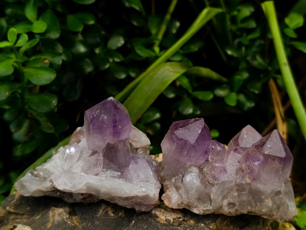 Natural Jacaranda Amethyst Crystal Clusters x 6 From Mumbwa, Zambia