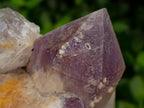 Natural Jacaranda Amethyst Crystal Clusters x 6 From Mumbwa, Zambia