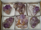 Natural Jacaranda Amethyst Crystal Clusters x 6 From Mumbwa, Zambia