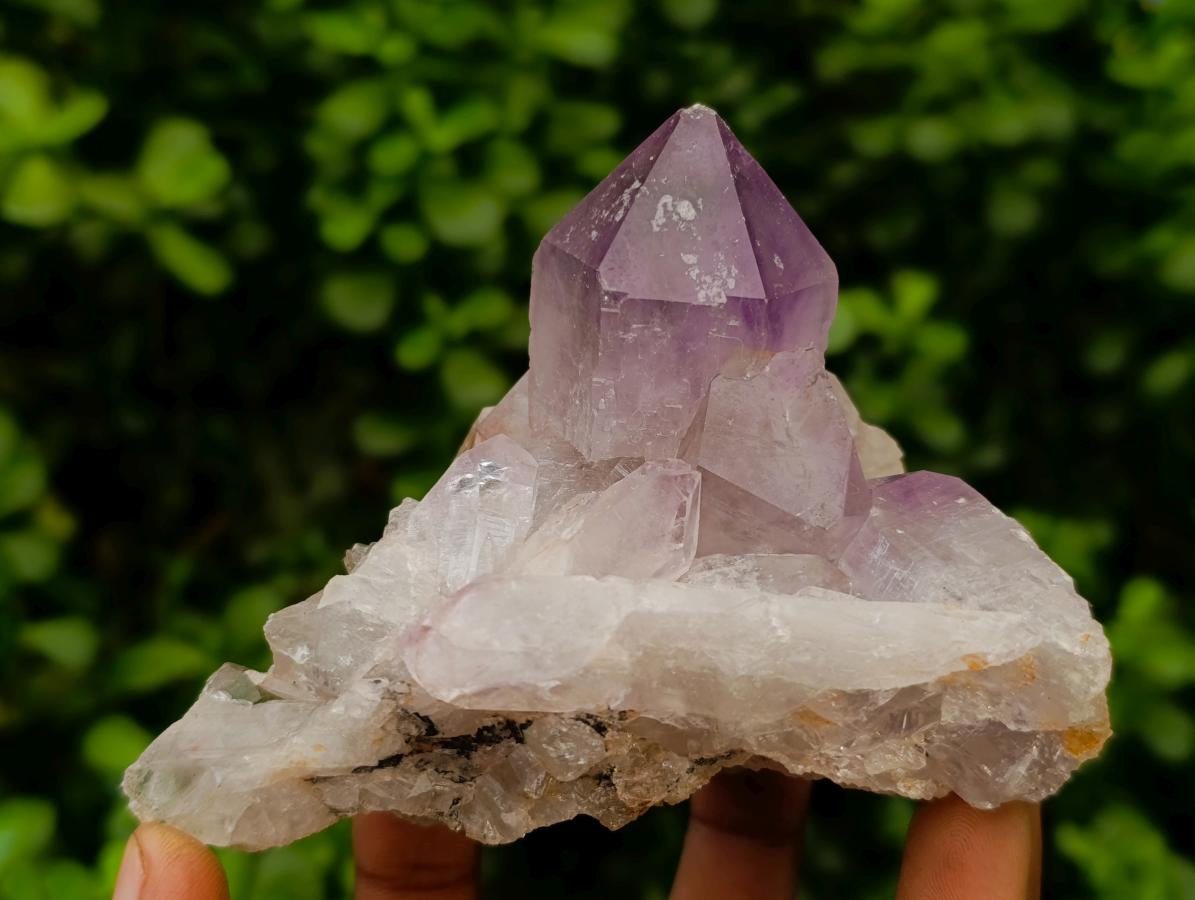 Natural Jacaranda Amethyst Crystal Clusters x 6 From Mumbwa, Zambia