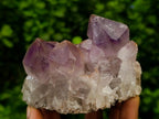 Natural Jacaranda Amethyst Crystal Clusters x 6 From Mumbwa, Zambia