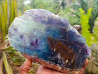 Polished Watermelon Fluorite Slices x 2 From Uis, Namibia