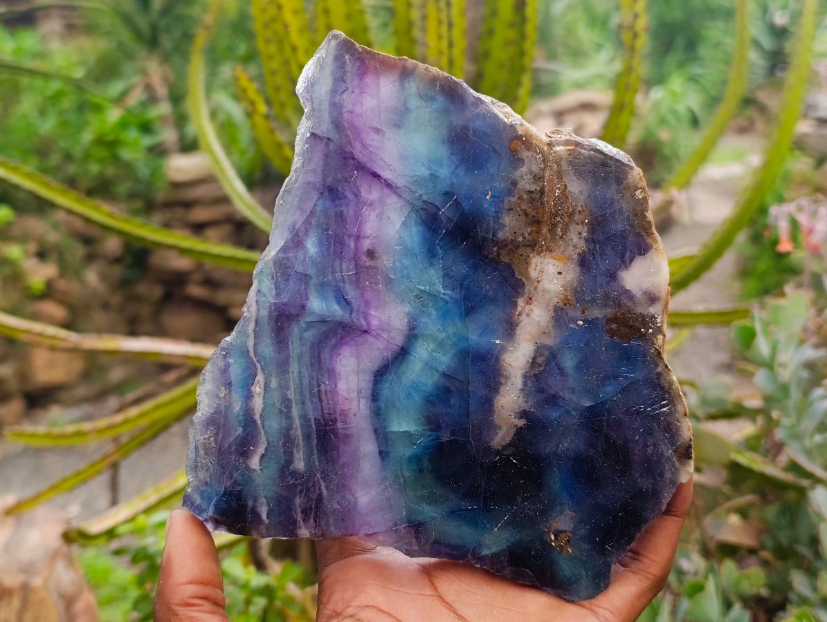 Polished Watermelon Fluorite Slices x 2 From Uis, Namibia