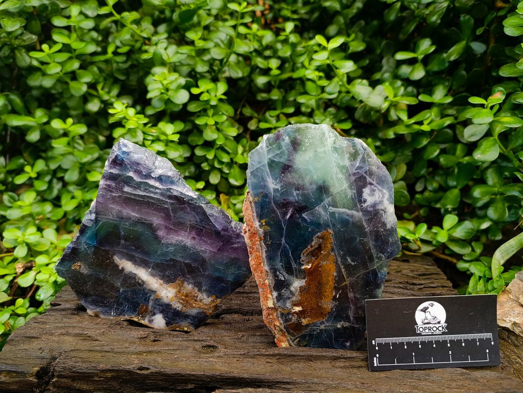 Polished Watermelon Fluorite Slices x 2 From Uis, Namibia