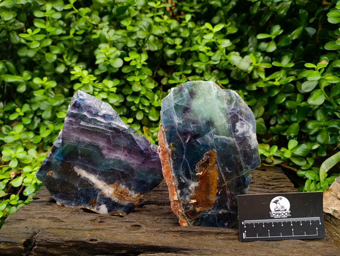 Polished Watermelon Fluorite Slices x 2 From Uis, Namibia
