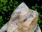 Hand Made XL Dendritic Agate Flame x 1 From Moralambo, Madagascar