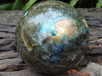 Polished Labradorite Sphere x 1 From Tulear, Madagascar