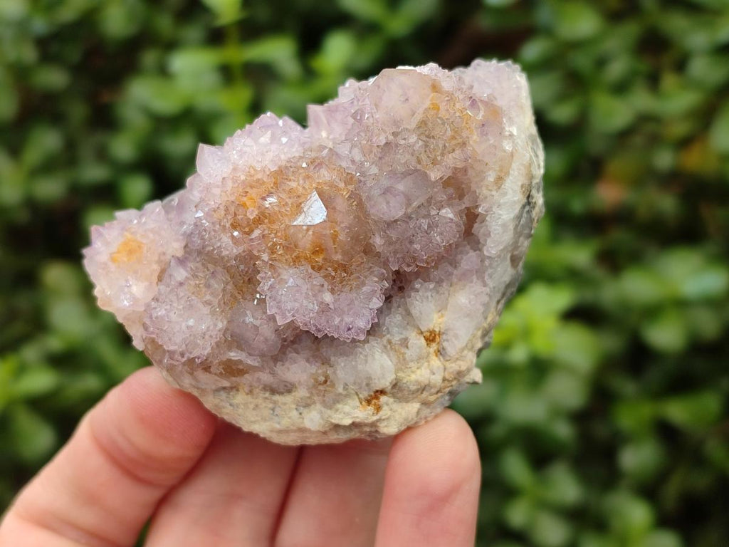 Natural Lilac Amethyst Spirit Clusters x 6 From Boekenhouthoek, South Africa