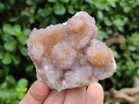 Natural Lilac Amethyst Spirit Clusters x 6 From Boekenhouthoek, South Africa