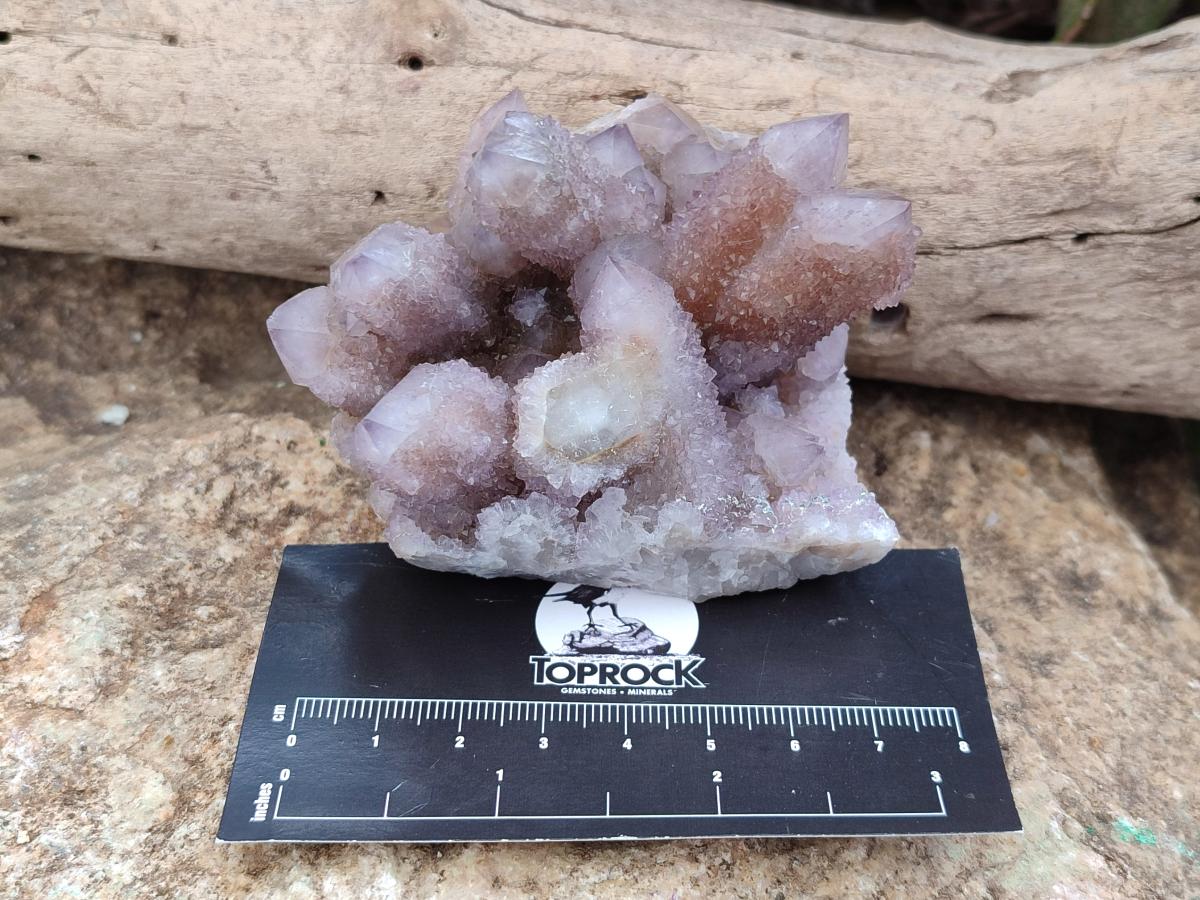 Natural Lilac Amethyst Spirit Clusters x 6 From Boekenhouthoek, South Africa