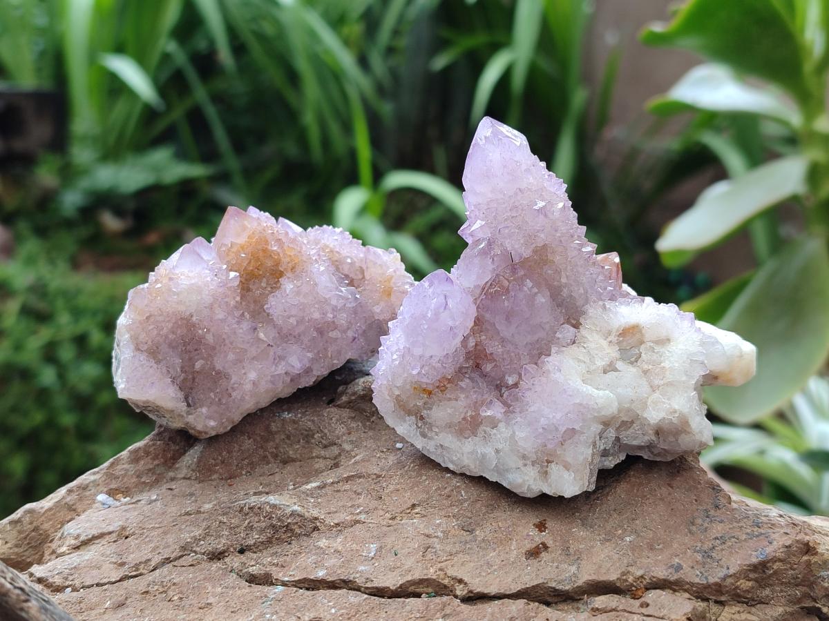 Natural Lilac Amethyst Spirit Clusters x 6 From Boekenhouthoek, South Africa