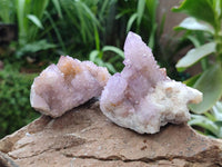 Natural Lilac Amethyst Spirit Clusters x 6 From Boekenhouthoek, South Africa