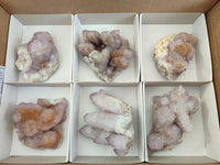Natural Lilac Amethyst Spirit Clusters x 6 From Boekenhouthoek, South Africa