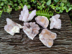 Natural Lilac Amethyst Spirit Clusters x 6 From Boekenhouthoek, South Africa