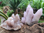 Natural Lilac Amethyst Spirit Clusters x 6 From Boekenhouthoek, South Africa