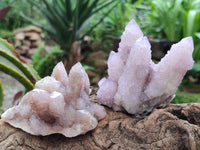 Natural Lilac Amethyst Spirit Clusters x 6 From Boekenhouthoek, South Africa