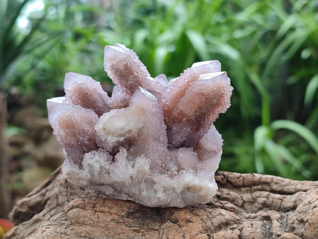 Natural Lilac Amethyst Spirit Clusters x 6 From Boekenhouthoek, South Africa