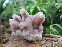 Natural Lilac Amethyst Spirit Clusters x 6 From Boekenhouthoek, South Africa