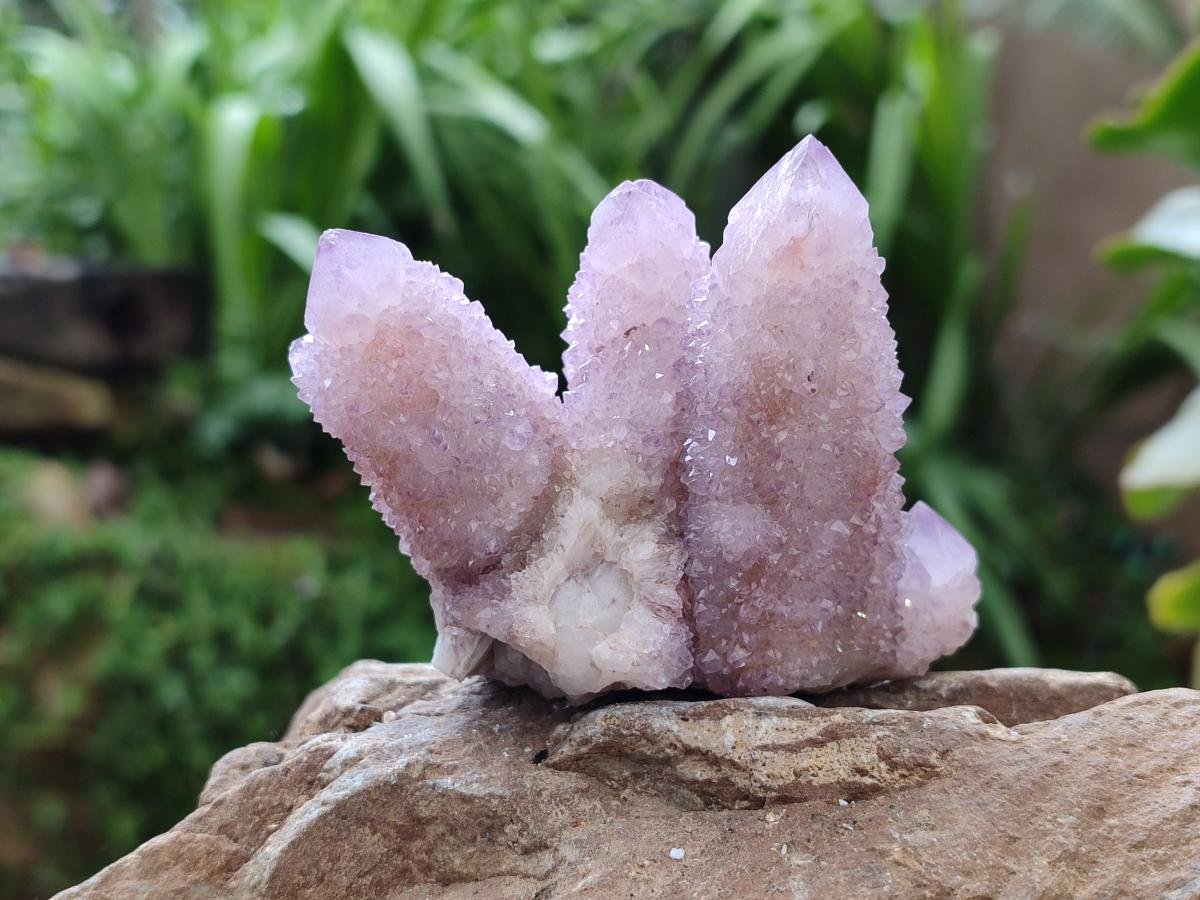 Natural Lilac Amethyst Spirit Clusters x 6 From Boekenhouthoek, South Africa