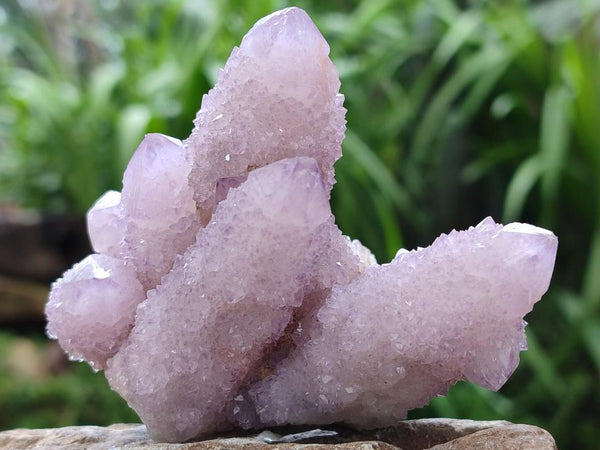 Natural Lilac Amethyst Spirit Clusters x 6 From Boekenhouthoek, South Africa