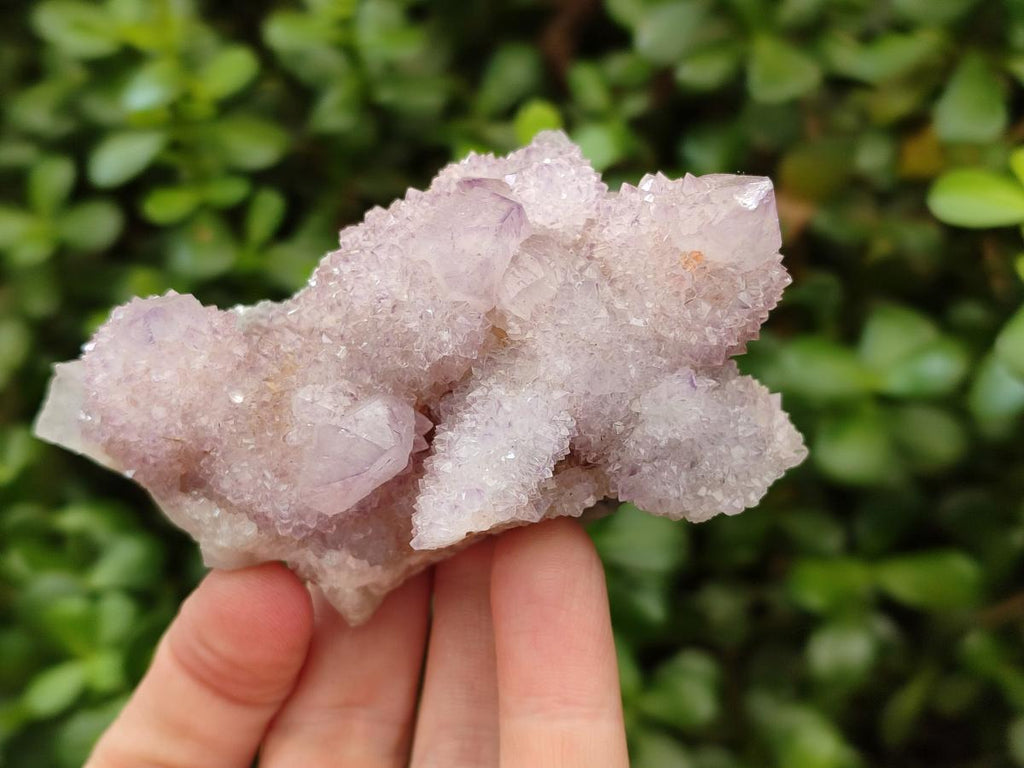 Natural Lilac Amethyst Spirit Clusters x 6 From Boekenhouthoek, South Africa