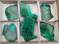 Polished Malacolla Slices x 6 From Kulukuluku, Congo