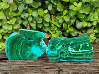 Polished Malacolla Slices x 6 From Kulukuluku, Congo